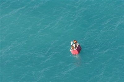 Picture 1 of Birds save fishermen in distress