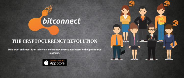 Picture 4 of Bitconnect - What is the most popular Vietnamese keyword search on Google?
