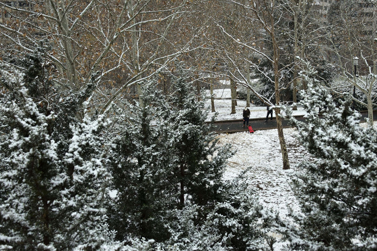 Picture 4 of Blizzard attacked the US East Coast, 260,000 people lost power
