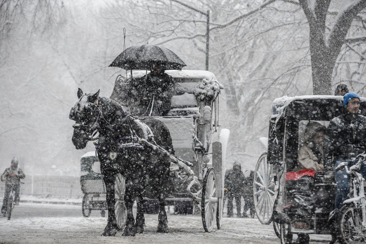 Picture 9 of Blizzard attacked the US East Coast, 260,000 people lost power