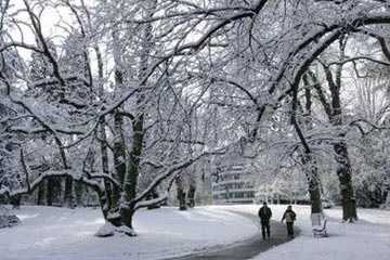 Picture 5 of Blizzard raging in Europe