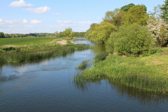 Blood-sucking vampire fish flooded many rivers in England