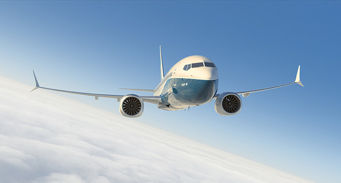 Picture 4 of Boeing 737 MAX - What is the most special thing in the world?