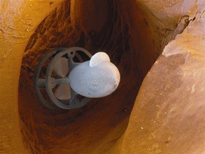 Picture 1 of Born from ... cinema