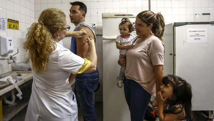 Picture 1 of Brazil detected 8 mutations of the yellow fever virus