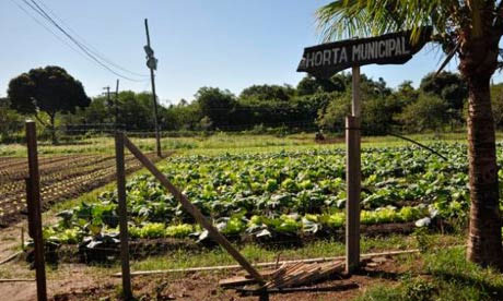 Picture 1 of Brazil develops 'superfoods' against malnutrition