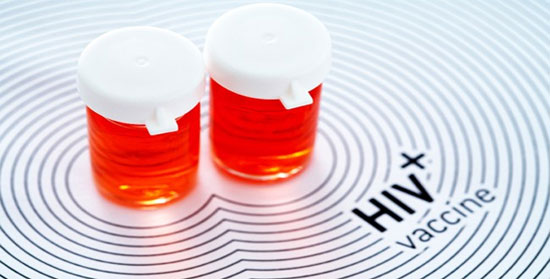 Picture 1 of Brazil tried a vaccine against HIV in monkeys
