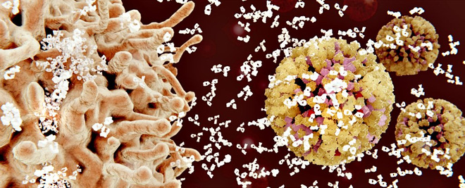 Picture 1 of Breakthrough: Detecting antibodies can kill 99% of the HIV virus strain