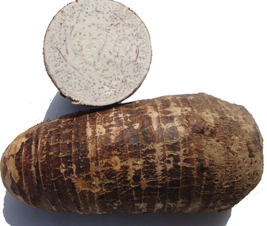 Picture 1 of Breakthrough solution of breeding specialty crops