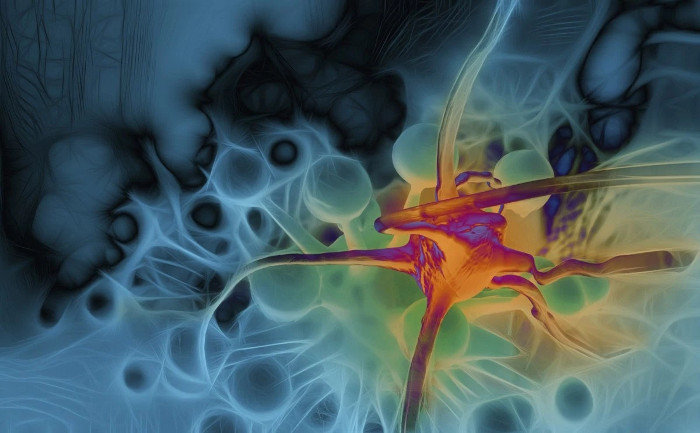 Picture 1 of Breakthrough technology prevents metastatic cancer