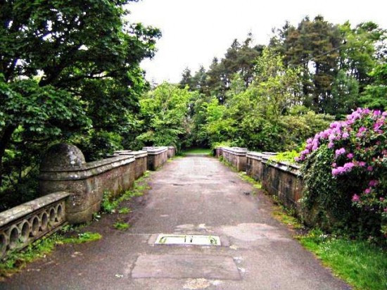 Picture 1 of Bridge suicide of dogs in Scotland