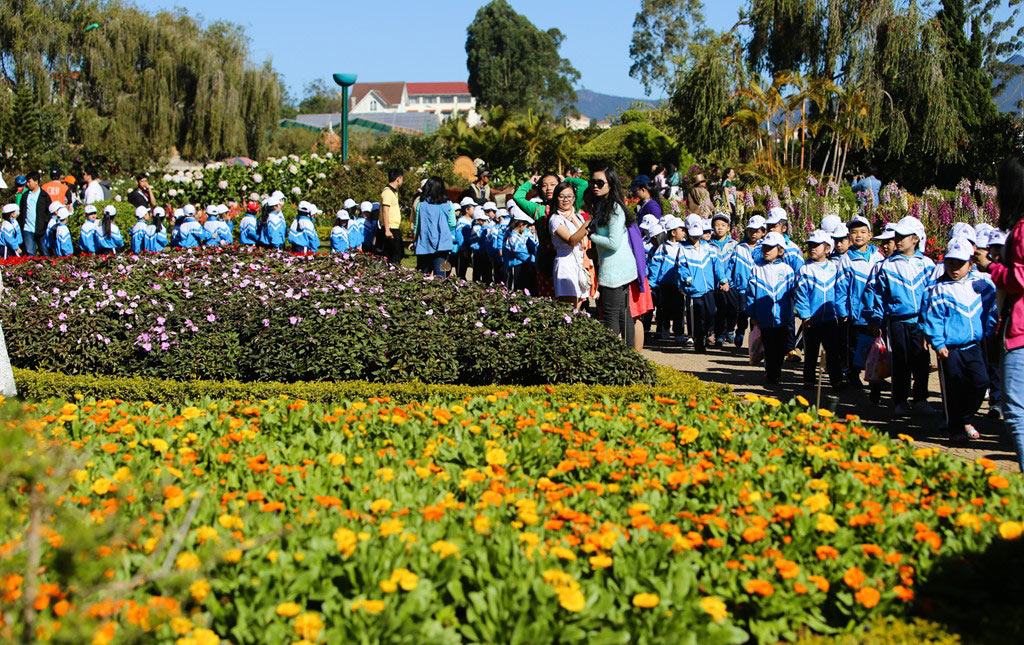 Picture 11 of Brilliant colors at the 2015 Dalat flower festival
