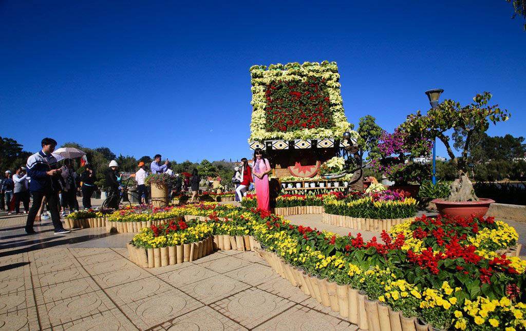 Picture 12 of Brilliant colors at the 2015 Dalat flower festival
