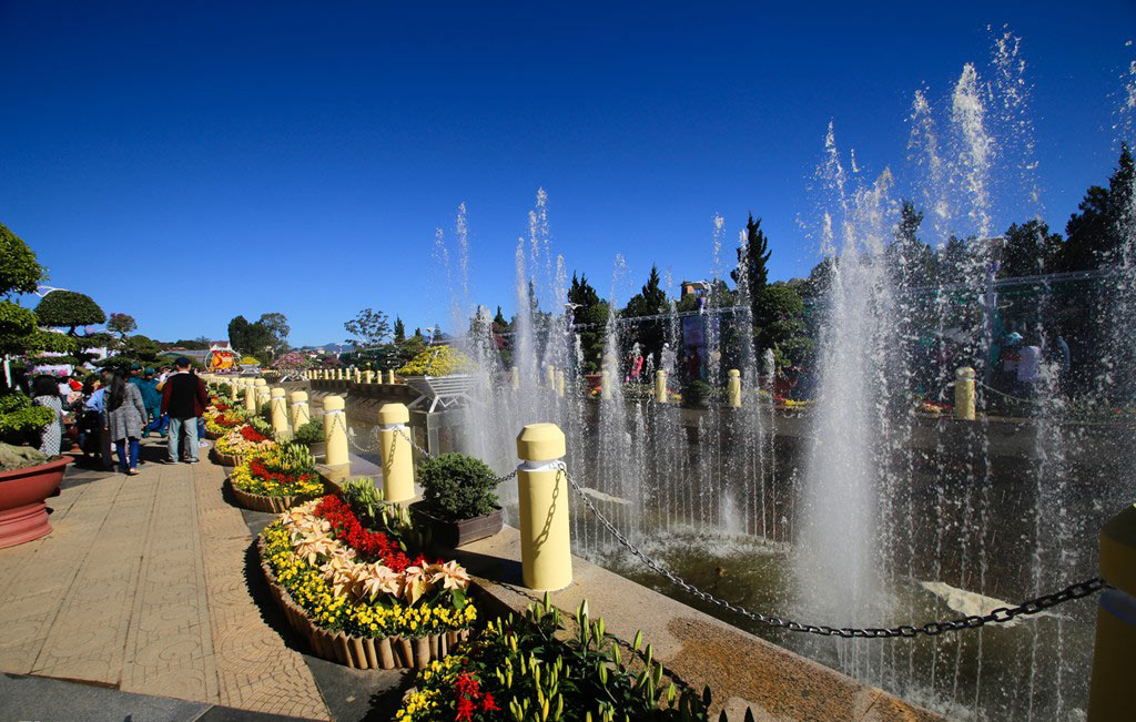 Picture 13 of Brilliant colors at the 2015 Dalat flower festival