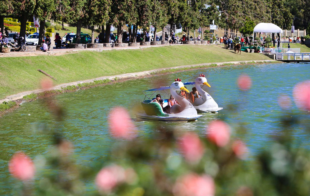 Picture 16 of Brilliant colors at the 2015 Dalat flower festival