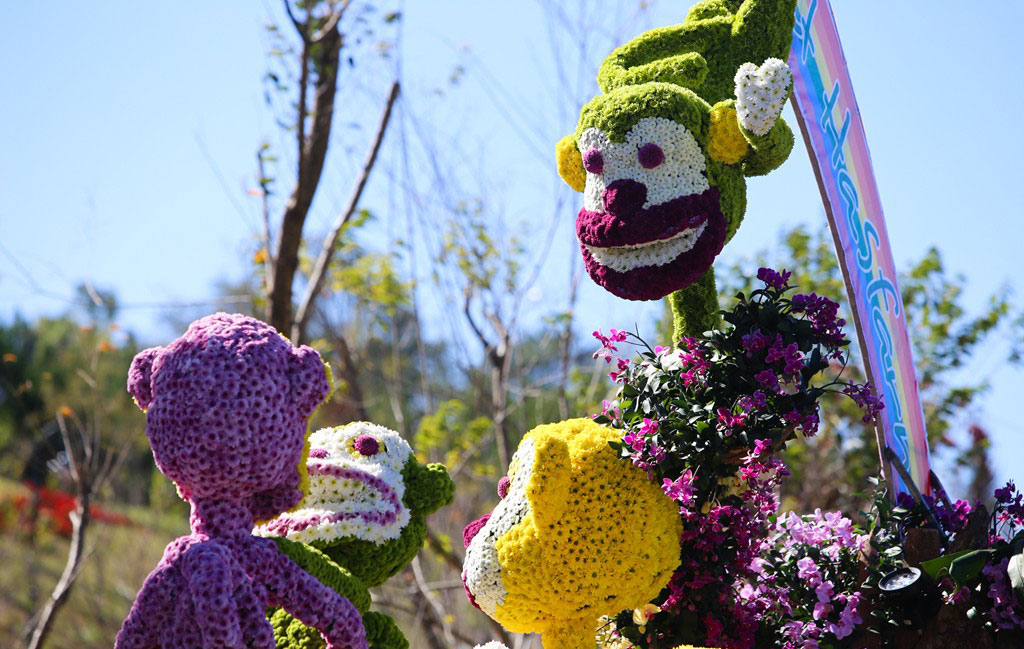 Picture 17 of Brilliant colors at the 2015 Dalat flower festival