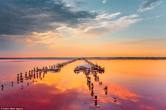 Picture 10 of Brilliant wild salt lake in Crimea
