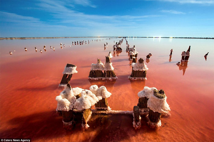 Picture 11 of Brilliant wild salt lake in Crimea
