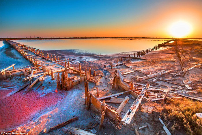 Picture 6 of Brilliant wild salt lake in Crimea