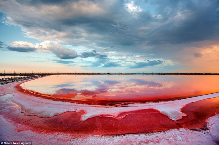 Picture 7 of Brilliant wild salt lake in Crimea