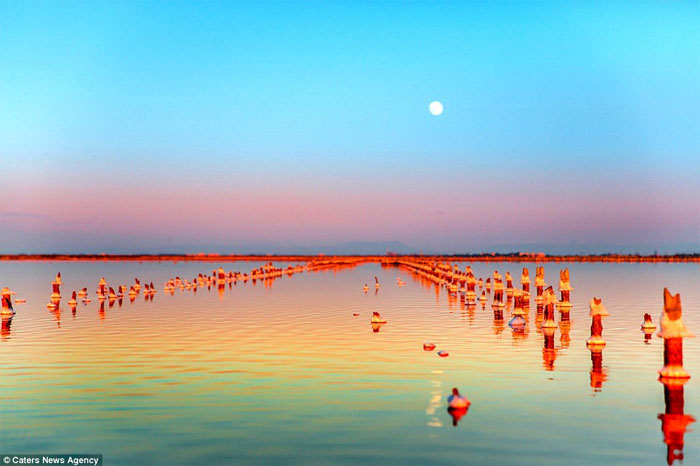 Picture 8 of Brilliant wild salt lake in Crimea