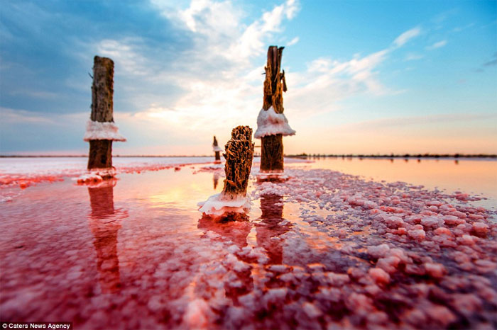 Picture 9 of Brilliant wild salt lake in Crimea