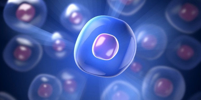 Picture 3 of British scientists reverse the aging process of human cells