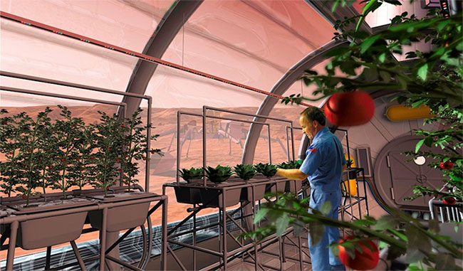 Picture 2 of Build a 'green oasis' to plant trees on Mars, why not?