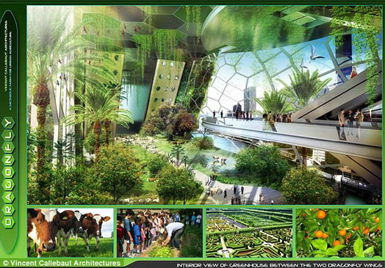 Picture 2 of Building 'dragonfly'