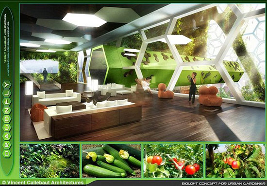 Picture 3 of Building 'dragonfly'