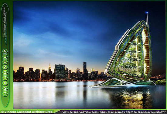 Picture 4 of Building 'dragonfly'