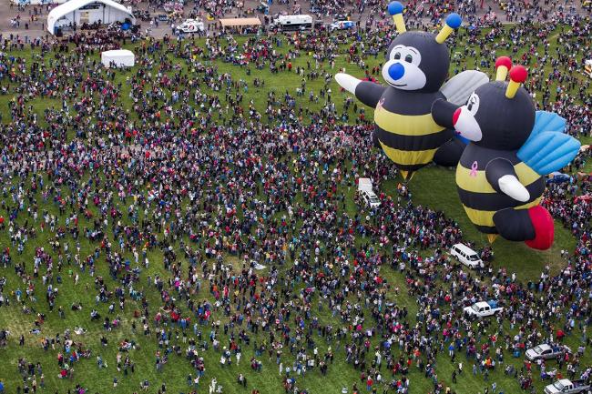 Picture 13 of Bunch of photos of hot air balloon festival 2015