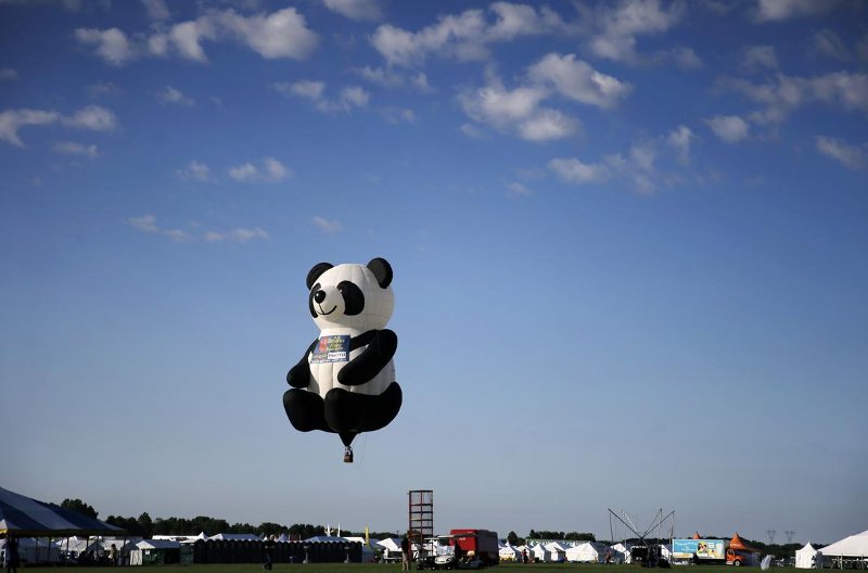 Picture 16 of Bunch of photos of hot air balloon festival 2015
