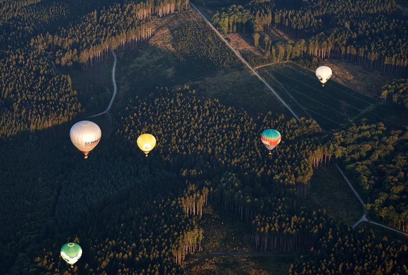 Picture 23 of Bunch of photos of hot air balloon festival 2015