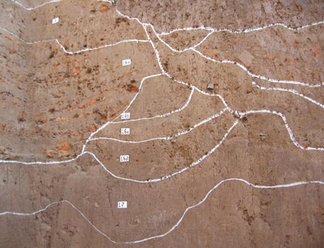 Picture 9 of Bunch of strange ancient tomb images on Hanoi city wall