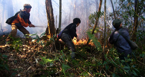 Picture 1 of Burning about 100 hectares of forest in Hoang Lien National Park