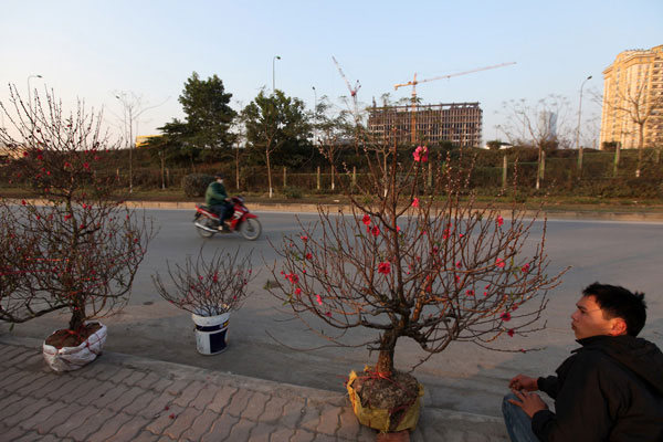 Picture 15 of Bustling 'Tet flowers' in the Capital