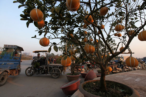 Picture 9 of Bustling 'Tet flowers' in the Capital