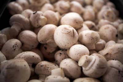 Picture 1 of Button mushrooms contain more antioxidants than other expensive mushrooms