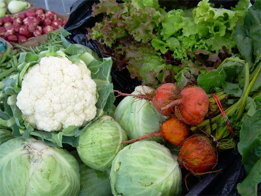 Picture 1 of Cabbage, cauliflower can be radioactive