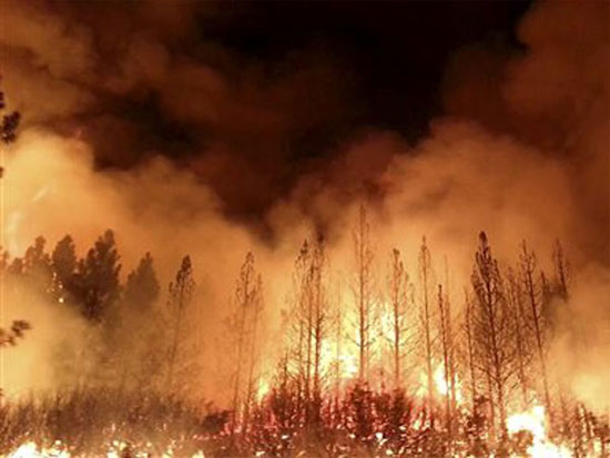 Picture 1 of California declared a state of emergency due to wildfires