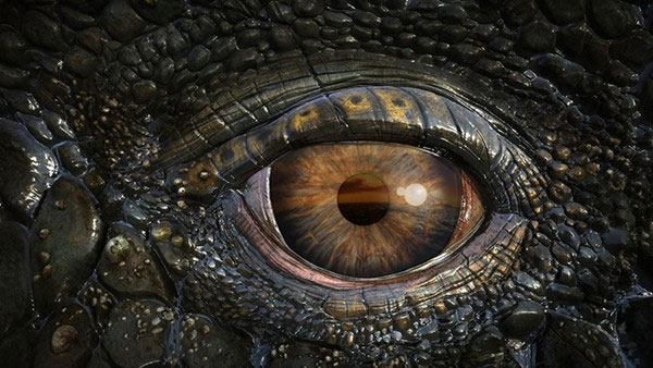 Picture 2 of Can humans beat the tyrant dinosaurs?