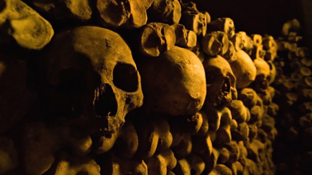 Picture 2 of Can humans live up to 10 times longer?