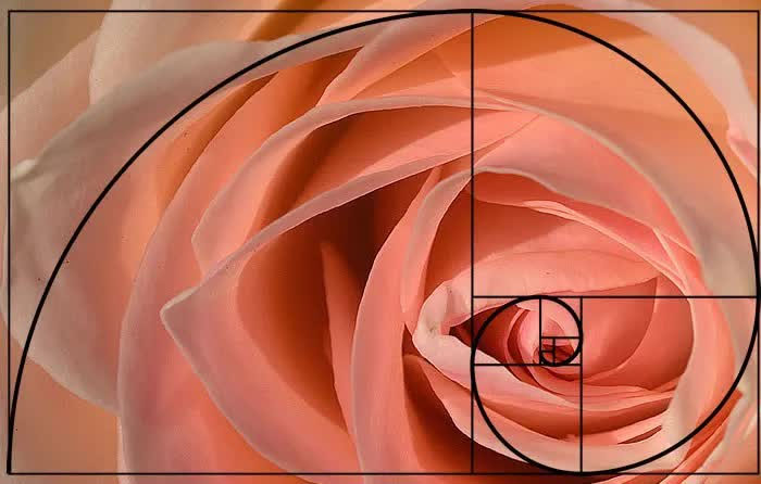 Picture 3 of Can we become mathematicians by way of self-study?  (Part 1)