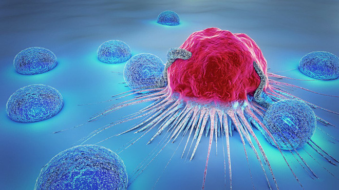 Picture 3 of Can we kill cancer cells when they're sleeping?