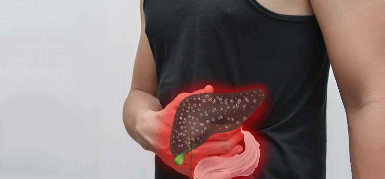 Picture 2 of Can we live without a liver?