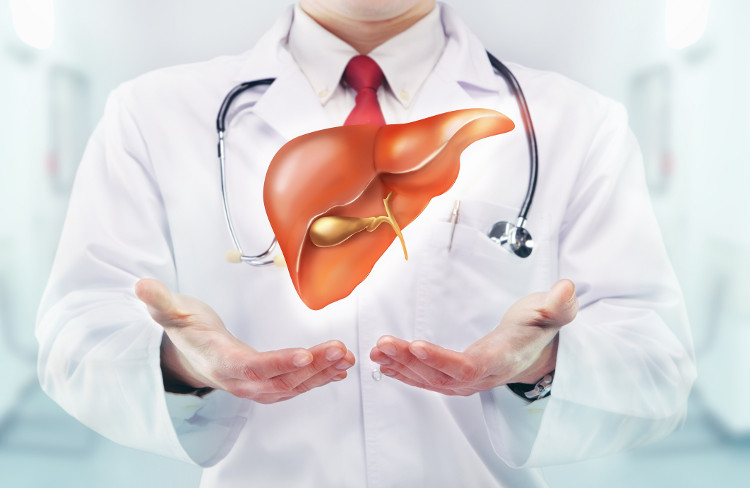 Picture 3 of Can we live without a liver?
