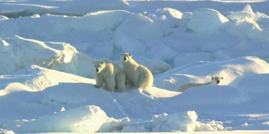 Picture 1 of Canada claims sovereignty in the far north