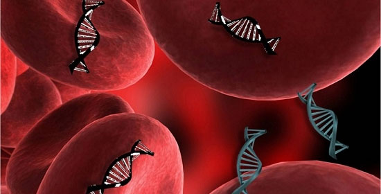 Picture 2 of Cancer does not need radiotherapy thanks to blood tests after surgery