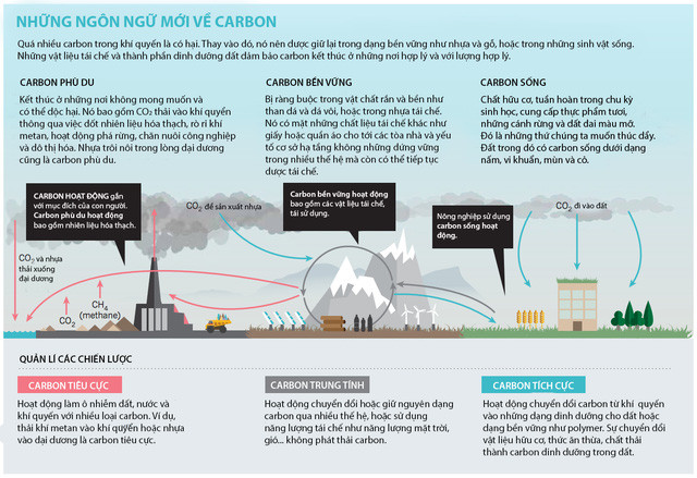 Picture 2 of Carbon is not the enemy of the Earth, the world needs to reconsider it
